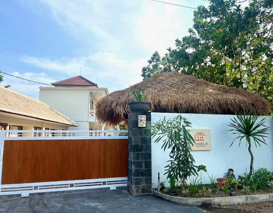 Charlie * Nusa Dua (Bali)